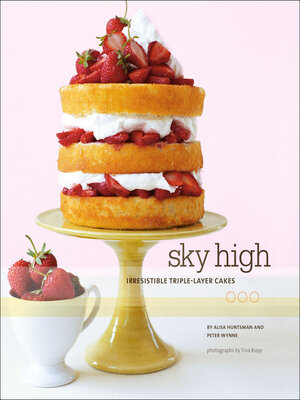 Sky High - ebook